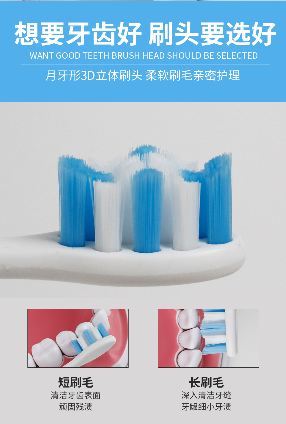 麦喆专业抗菌刷头3只装 ST-201806-3(图4)